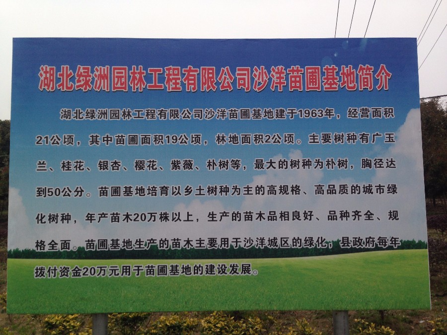江南娱乐沙洋苗圃基地